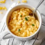 Pasta in a Mug Recipe