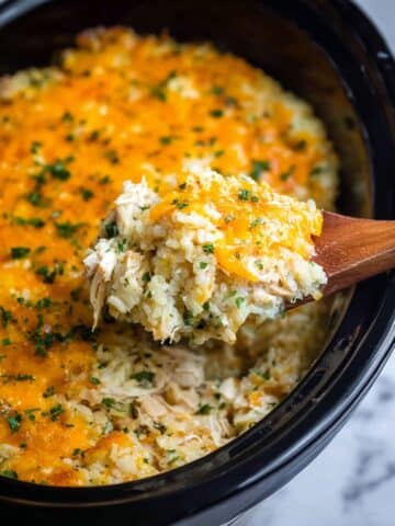 Crockpot Chicken and Rice Recipe