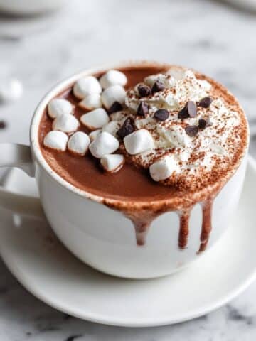 Crockpot Hot Chocolate Recipe