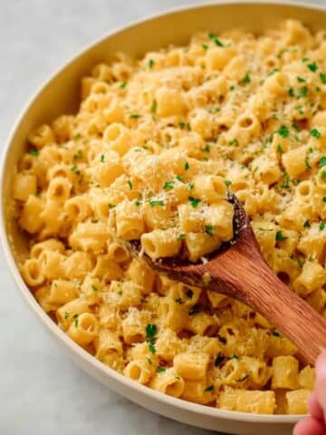That Viral Creamy Garlic Butter Ditalini Pasta Recipe