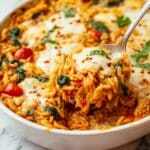 One Pan Tomato Basil Baked Orzo Recipe