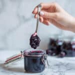 Slow Cooker Blueberry Butter Recipe
