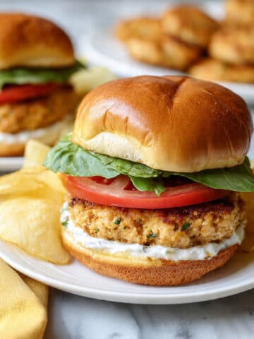 Ground Chicken Burger Recipe